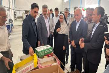افتتاح کارتن سازی تعاون روستایی با ااااااااحضور ریاست سازمان و معاون وزیر